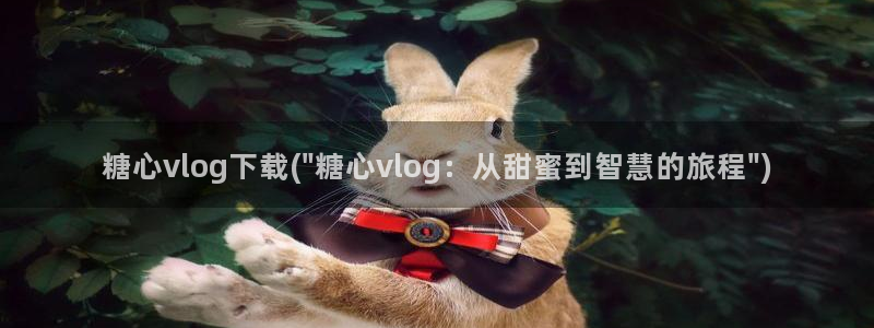 糖心por：糖心vlog下载(\