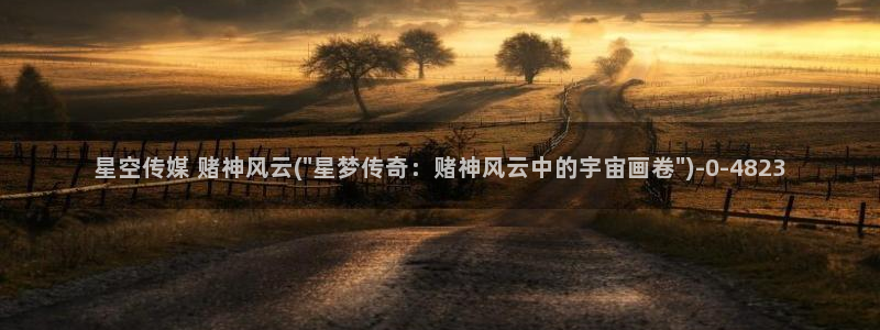 麻豆星空天美传媒：星空传媒 赌神风云(\