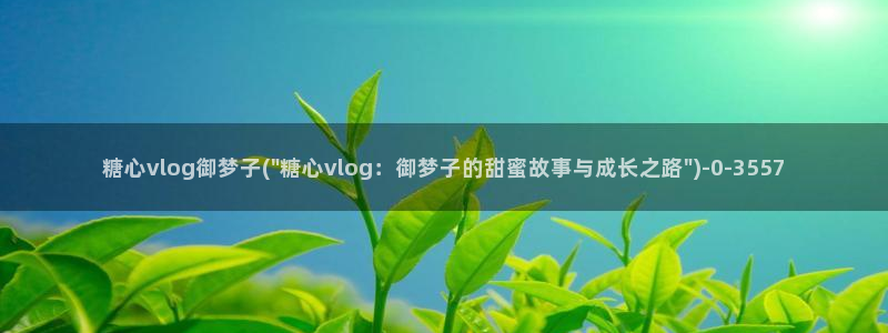 糖心vlog视频app