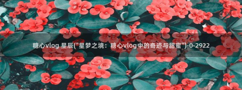 糖心vlog精品