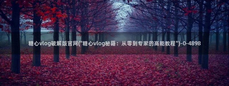 心糖vlog短视频