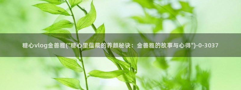 糖心vlog破解免费下载