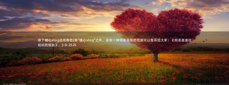 心糖vlog视频在线观看