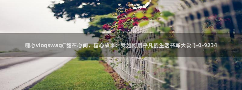 糖心vlog全版本