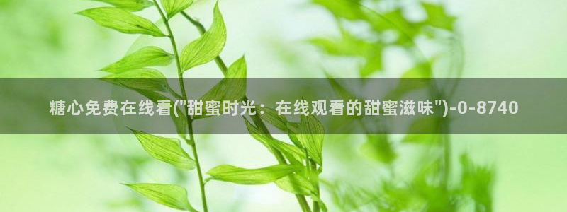 黑椒盖饭糖心vlog