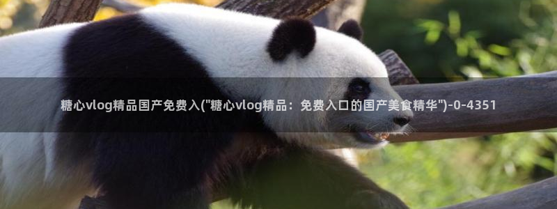 糖心vlog柚子猫内射