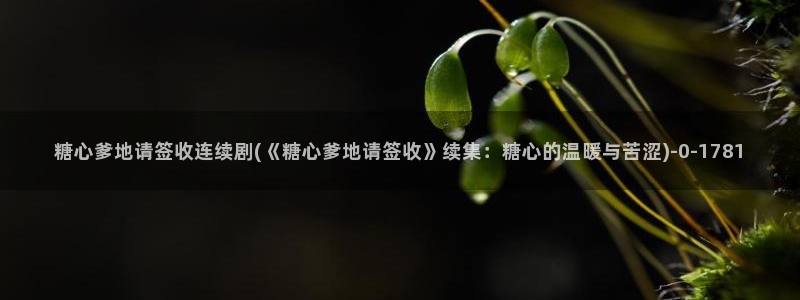糖心vlog免费版怎么下