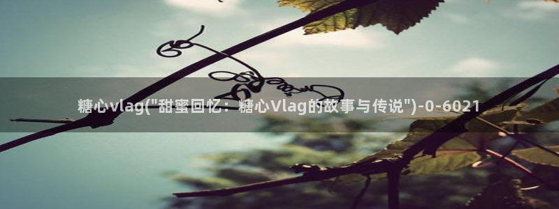 t糖心vlog