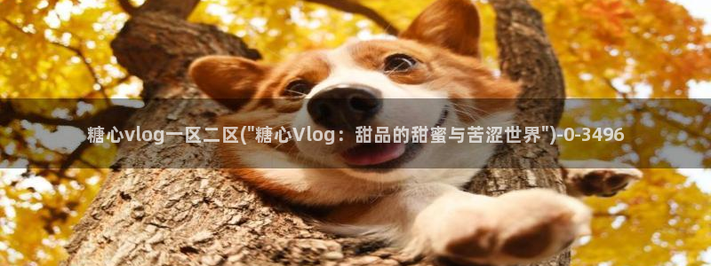 糖心vlog app