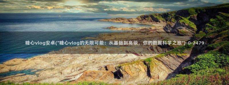 糖心八大家vlog