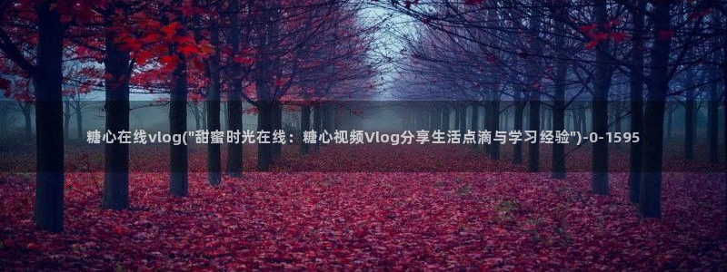 糖心vlog深夜里释放自己
