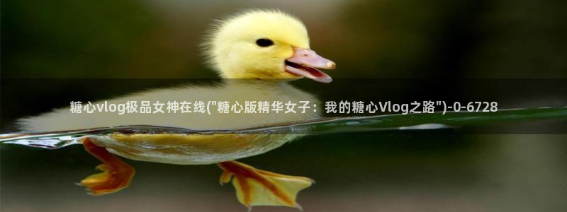 亚洲糖心vlog